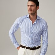 Emanuel Berg Harvard, Blue Striped Shirt