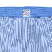 Emanuel Berg Blue Striped Boxer Shorts