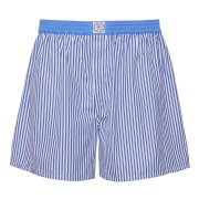 Emanuel Berg Blue Striped Boxer Shorts